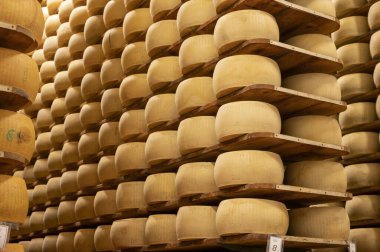 Parma, İtalya 'daki küçük peynir çiftliğinde parmegiano-reggiano parmesan peyniri pişirme süreci, peynir tekerlerinin yaşlandırılması için 5 yıla kadar fabrika olgunlaşma odası
