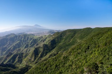 Anaga Ulusal Parkı 'nın yeşil dağlarının panoramik manzarası, Tenerife' nin kuzeyi, Kanarya Adaları, İspanya