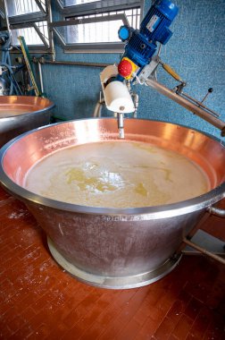 Parma, Reggio-Emilia, İtalya 'daki küçük peynir çiftliğinde parmesanlı parmesan peynirin inek sütünden yapılmış geleneksel bir işlem.