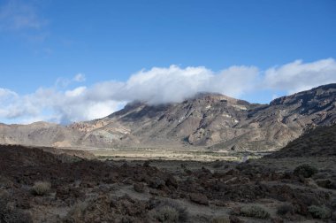 Tenerife 'deki Teide Ulusal Parkı' nın ziyareti ve volkanik manzaralar, Kanarya Adaları, İspanya