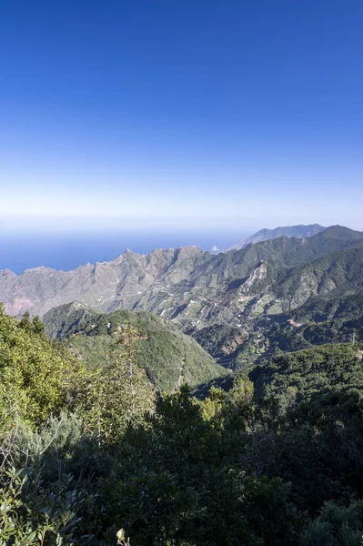 Anaga Ulusal Parkı 'nın yeşil dağlarının panoramik manzarası, Tenerife' nin kuzeyi, Kanarya Adaları, İspanya