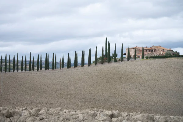 Вид Холмы Тосканы Италия Тосканский Пейзаж Кипарисами Вспаханными Полями Облачную — стоковое фото