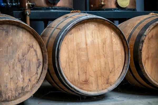 Productie Van Zoete Cassis Crèmedrank Uit Rijpe Zwarte Bessen Distillatie — Stockfoto