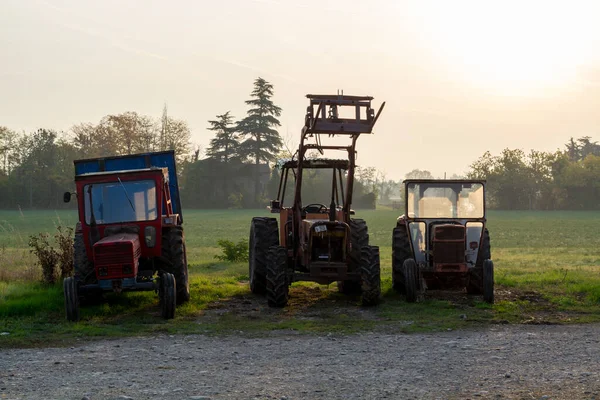 Staré Vinobraní Traktory Časných Ranních Slunečních Paprscích Sýrové Farmě Severní — Stock fotografie