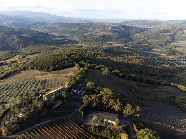 イタリア トスカーナ州のBagno Vignoni近くの丘の上に表示されます ヒノキの木 ブドウ畑 森林や曇りの秋に耕されたフィールドとトスカーナの風景 — ストック写真