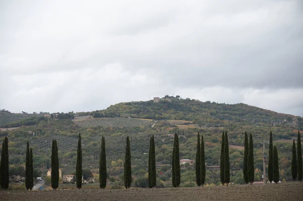 Вид Холмы Тосканы Италия Тосканский Пейзаж Кипарисами Вспаханными Полями Облачную — стоковое фото