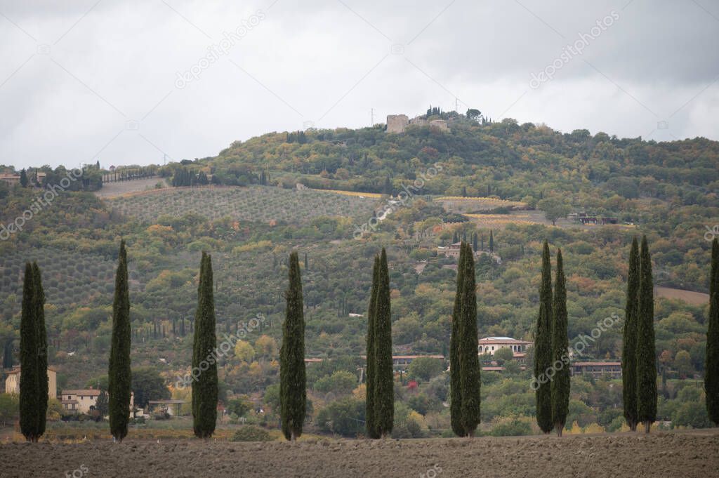 View on hills of Tuscany, Italy. Tuscan landscape with cypress trees and ploughed fields in cloudy autumn.