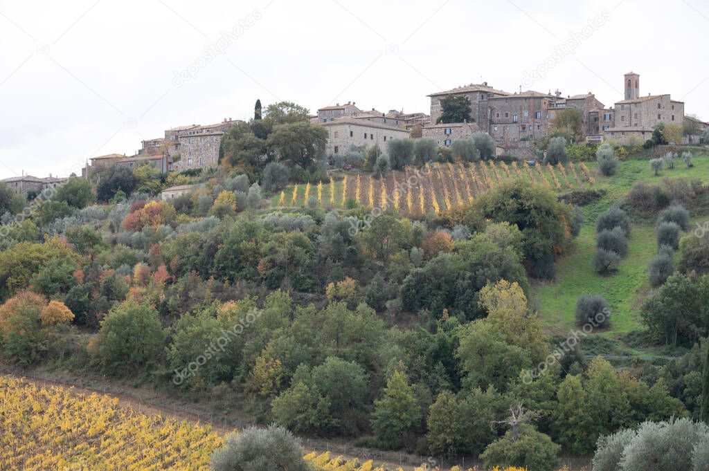 Walking on hills near Abbazia Sant'Antimo, Montalcino, Tuscany, Italy. Tuscan landscape with cypress trees, vineyards, forests and olive trees in cloudy autumn.