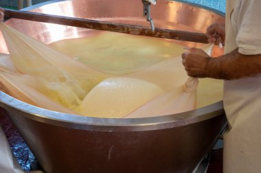 Parma, Reggio-Emilia, İtalya 'daki küçük bir peynir çiftliğinde parmesanlı parmesan peynirinin inek sütlü tekerleklerinden yapılan geleneksel bir işlem.