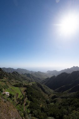 Anaga Ulusal Parkı 'nın yeşil dağlarının panoramik manzarası, Tenerife' nin kuzeyi, Kanarya Adaları, İspanya