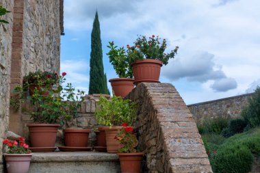 Tipik Toskana taş evi Montalcino, Toskana, İtalya yakınlarında çiçek saksılarıyla süslenmiş..