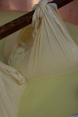 Parma, Reggio-Emilia, İtalya 'daki küçük bir peynir çiftliğinde parmesanlı parmesan peynirinin inek sütlü tekerleklerinden yapılan geleneksel bir işlem.