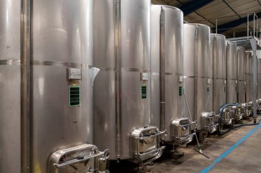 Tatlı cassis creme likörü üretimi olgun siyah frenk üzümü, damıtma ve çelik tanklarda erime, Burgundy, Fransa