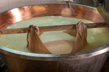 Parma, Reggio-Emilia, İtalya 'daki küçük peynir çiftliğinde parmesanlı parmesan peynirin inek sütü tekerleklerinden yapılan geleneksel işlem.