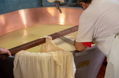Parma, Reggio-Emilia, İtalya 'daki küçük peynir çiftliğinde parmesanlı parmesan peynirin inek sütünden yapılmış geleneksel bir işlem.