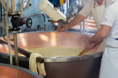 Parma, Reggio-Emilia, İtalya 'daki küçük bir peynir çiftliğinde parmesanlı parmesan peynirinin inek sütlü tekerleklerinden yapılan geleneksel bir işlem.