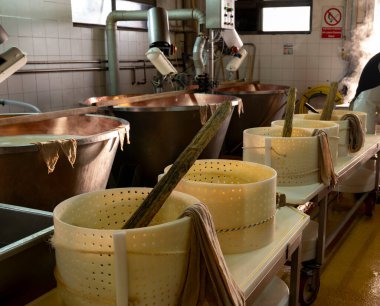 Parma, Reggio-Emilia, İtalya 'daki küçük peynir tarlasında parmegiano-reggiano parmesan peyniri yapmak için geleneksel bir yöntem.