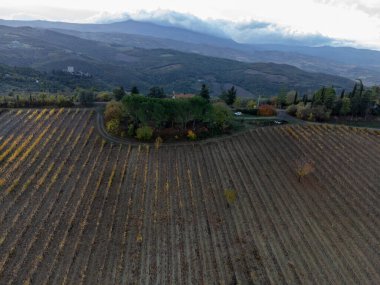 Tepelerdeki hava manzarası, şarap yakınındaki üzüm bağlarındaki renkli sonbahar kasabayı Montalcino, Toskana, hasat sonrası sıralı üzüm bitkileri, İtalya