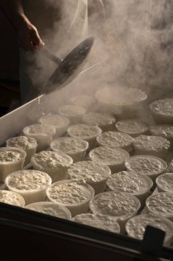 İtalya 'nın Parma kentindeki küçük peynir çiftliğinde sabahın erken saatlerinde taze, yumuşak ricotta peyniri yapma süreci.