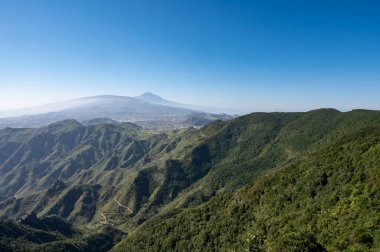 Anaga Ulusal Parkı 'nın yeşil dağlarının panoramik manzarası, Tenerife' nin kuzeyi, Kanarya Adaları, İspanya