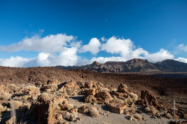 Tenerife Teide Nemzeti Park Megtekintése Kilátás Vulkanikus Tájakra Kanári Szigetek — Stock Fotó