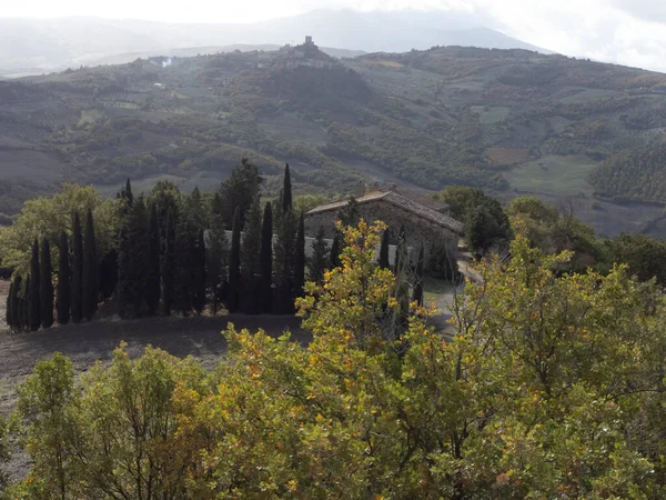 意大利托斯卡纳Bagno Vignoni附近山丘上的空中全景 多云的秋天 葡萄园 森林和耕地组成的土司坎景观 — 图库照片