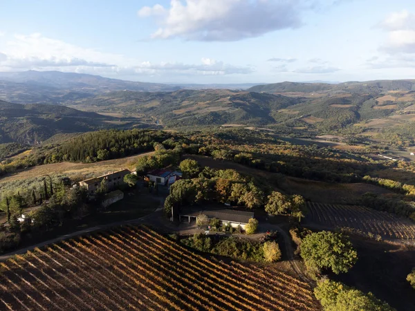 丘の上の空中ビュー ワイン造りの町モンタルチーノの近くのブドウ畑でカラフルな秋 トスカーナ州 収穫後のブドウの植物の行 イタリア — ストック写真