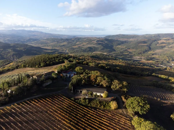 Tepelerdeki hava manzarası, şarap yakınındaki üzüm bağlarındaki renkli sonbahar kasabayı Montalcino, Toskana, hasat sonrası sıralı üzüm bitkileri, İtalya