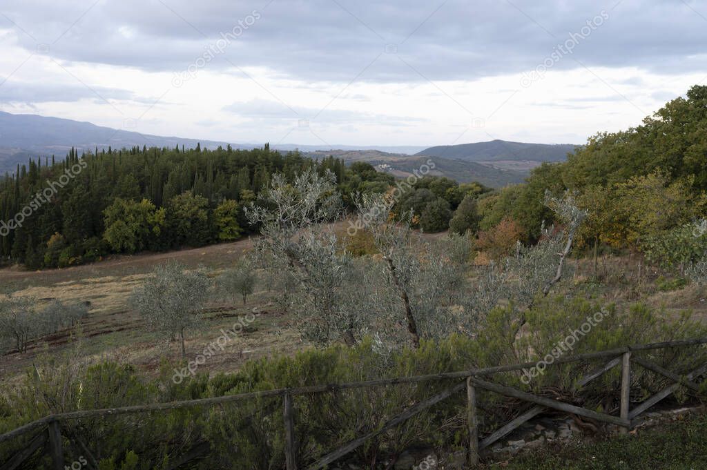 View on hills near Bagno Vignoni, Tuscany, Italy. Tuscan landscape with cypress trees, vineyards, forests and ploughed fields in cloudy autumn.