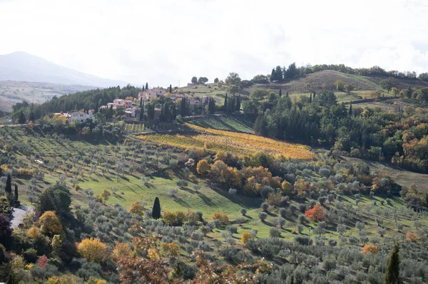 이탈리아 토스카나 카스틸리오네 언덕에서 공중에서 가을에는 사이프러스 포도원 드넓게 펼쳐진 — 스톡 사진