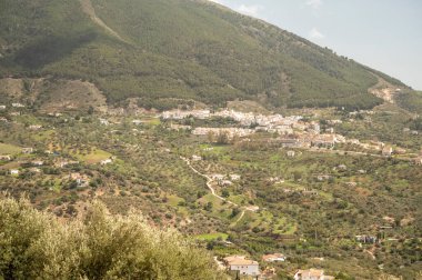 Malaga, Endülüs, İspanya yakınlarındaki Sierra de Tejeda dağlarında bahar mevsimi