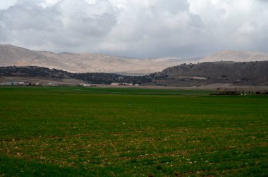 Zafarraya kasabası yakınlarındaki tarım vadisinde panoramik manzara sebze, yeşil marul salatası, lahana, enginar, Endülüs, İspanya