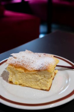 Avusturya 'nın Viyana şehrinde geleneksel kafede sıcak servis edilen beyaz peynirli turta ile dolu Avusturya tatlısı.
