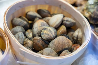 İtalyan pazarında satılık İtalyan deniz mahsulü spagetti ekmeği yapmak için pişirilmemiş mantı midyesi.