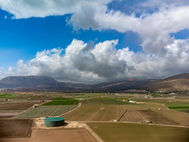 Yeşil salatalı tarlalar. Zafarraya kasabası yakınlarındaki tarım vadisinde hava manzarası sebze, yeşil marul salatası, lahana, enginar, Endülüs, İspanya