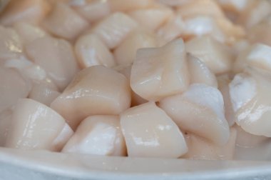 Pecten maximus ya da büyük deniz tarağı, kral deniz tarağı, St James kabuğu ya da taze ve açık deniz ürünleri, lezzetli deniz ürünleri.