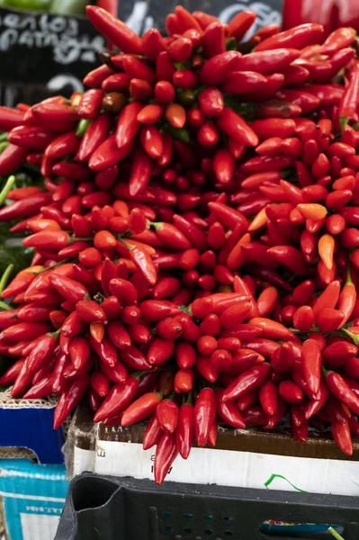 Bunches Many Red Hot Chili Peppers Sale Market — ストック写真