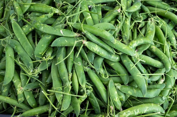 Ripe Young Green Sweet Garden Peas Legumes Raw Food Background — ストック写真