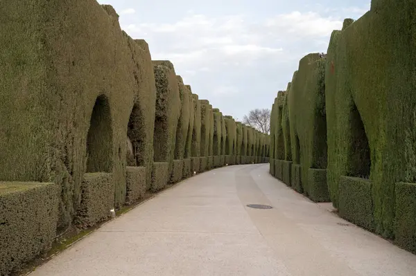 Diseño Jardín Mediterráneo Con Arcos Hechos Árboles Coníferas Thuja Recortados —  Fotos de Stock