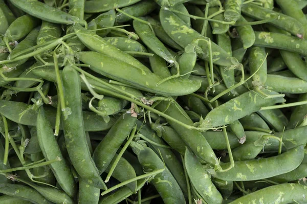 Legumbres Guisantes Verdes Jóvenes Maduros Fondo Alimentos Crudos —  Fotos de Stock