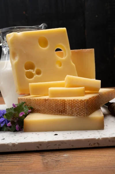 Swiss cheese collection, holes emmentaler and gruyere cheese made from unpasteurized cow\'s milk close up