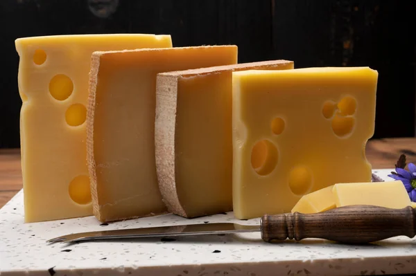 Swiss cheese collection, emmentaler with holes,  gruyere, appenzeller fondue cheeses close up