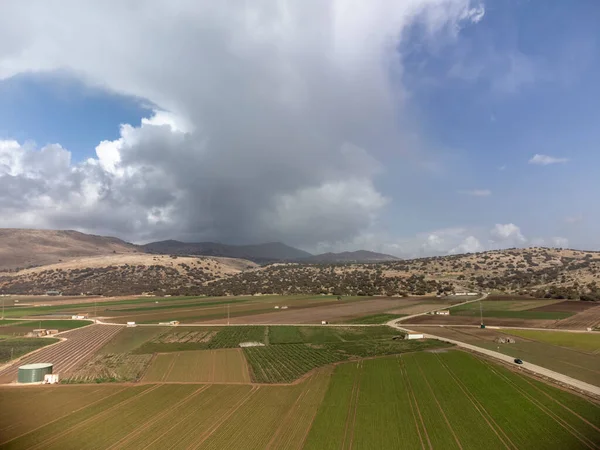 Boerderijvelden Met Rijen Groene Sla Salade Uitzicht Vanuit Lucht Vallei — Stockfoto