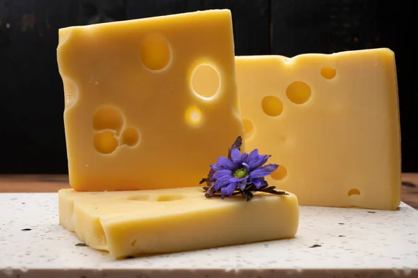 Coleção Queijo Suíço Emmental Amarelo Queijo Emmental Com Buracos Redondos — Fotografia de Stock