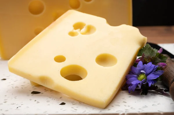瑞士奶酪系列 黄色护发素或圆形孔的护发素奶酪 — 图库照片
