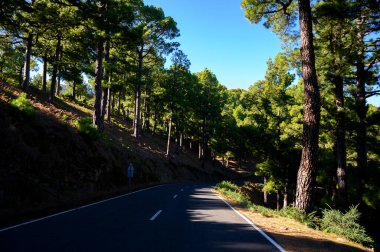 2021 'de güneşli bir günde Cumbre vieja volkanı patlamasından önce La Palma adasında en yüksek dağ olan Roque de los muchachos' a gitmek, İspanya 'nın Kanarya Adaları.