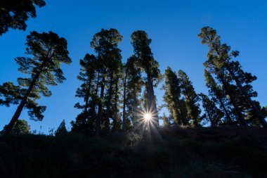 2021 'de güneşli bir günde Cumbre vieja volkanı patlamasından önce La Palma adasında en yüksek dağ olan Roque de los muchachos' a gitmek, İspanya 'nın Kanarya Adaları.
