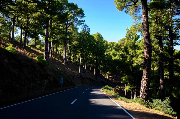 2021 'de güneşli bir günde Cumbre vieja volkanı patlamasından önce La Palma adasında en yüksek dağ olan Roque de los muchachos' a gitmek, İspanya 'nın Kanarya Adaları.