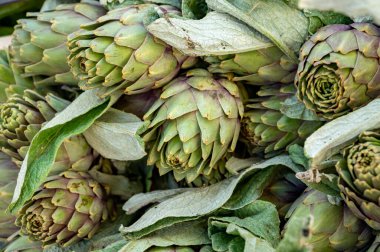 Fransa 'nın Provence kentindeki çiftçi pazarında satılacak taze çiğ enginar fabrikaları.