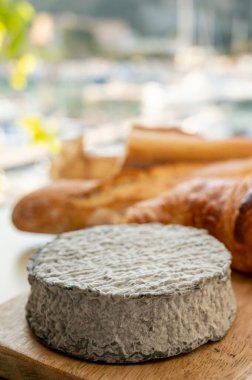 Fransız keçi peyniri selles-sur-cher ve taze kruvasan Cassis, Provence, Fransa 'nın limanındaki teknelerde servis ediliyor. Peynir tatma, yakın çekim.